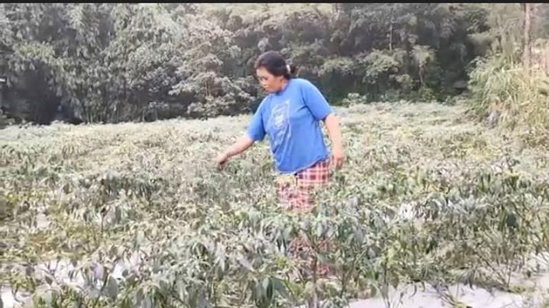 title Hujan Abu Merapi Guyur 2 Kecamatan di Boyolali Hujan Abu Merapi Guyur 2 Kecamatan di Boyolali