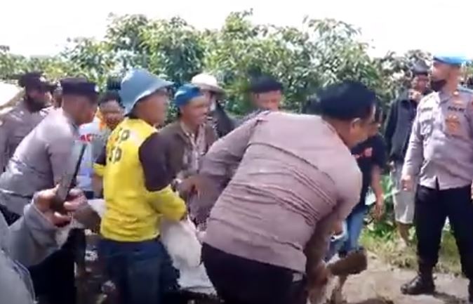 2 Pencuri Kerbau Tewas Diamuk Warga di Karo, 2 Kabur usai Mobil Dibakar