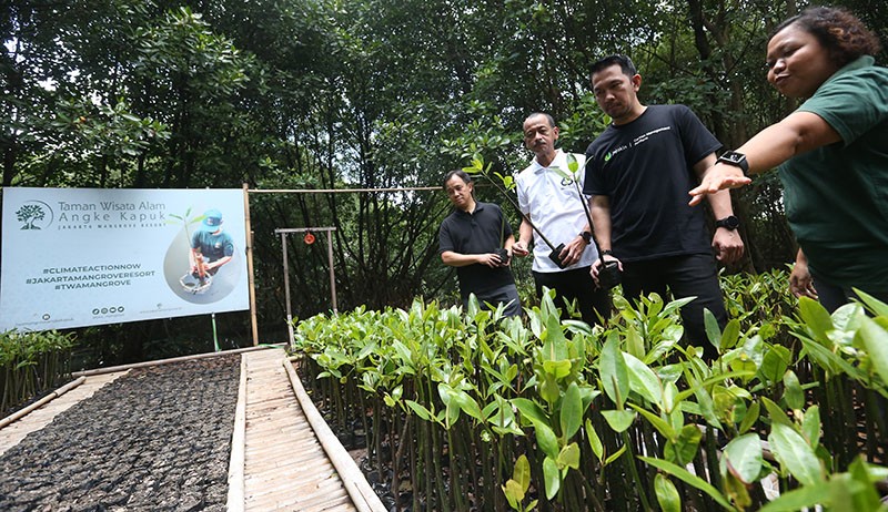 Peduli Lingkungan, Meratus Earth Squad Ajak Semua Pihak Tanam Mangrove  - Bagian 5