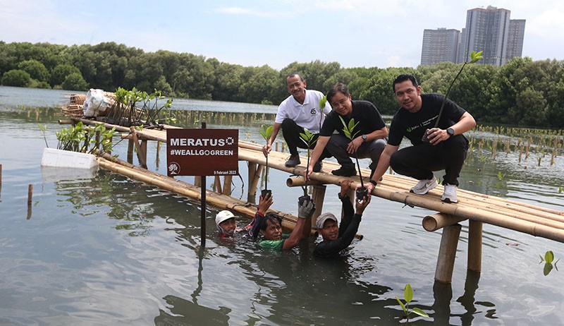 Peduli Lingkungan, Meratus Earth Squad Ajak Semua Pihak Tanam Mangrove  - Bagian 1
