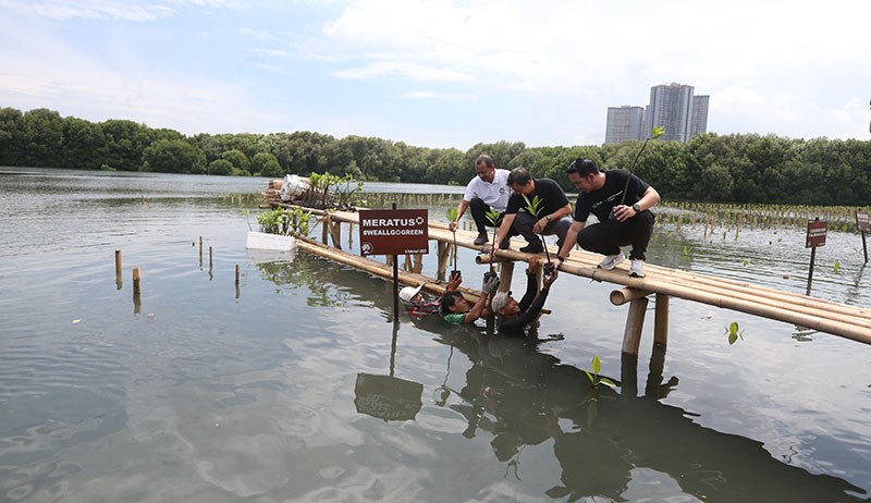 Peduli Lingkungan, Meratus Earth Squad Ajak Semua Pihak Tanam Mangrove  - Bagian 3