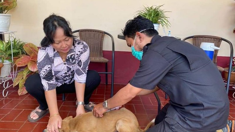 12 Warga Gorontalo Diserang Anjing, Dinkes Imbau Waspadai Gigitan