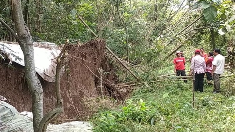 Tanggul Sungai Cimanuk Indramayu Ambles, Ancam 100 Rumah Dekat Bantaran 