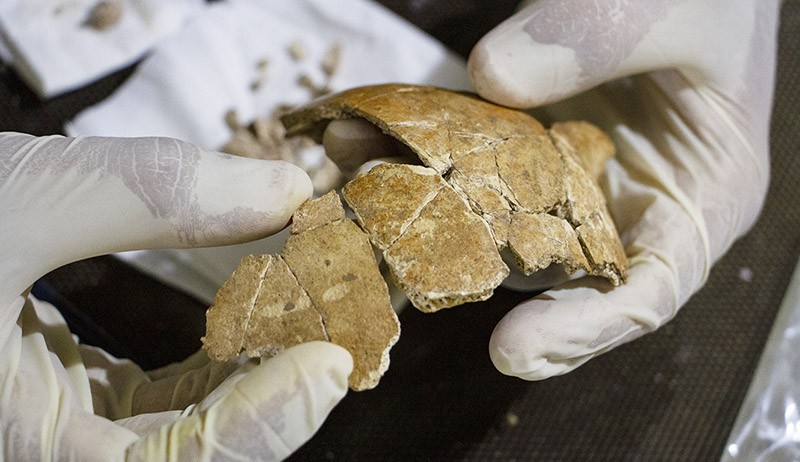 Konservasi Kerangka Manusia Purba Berusia 7.200 Tahun - Bagian 1