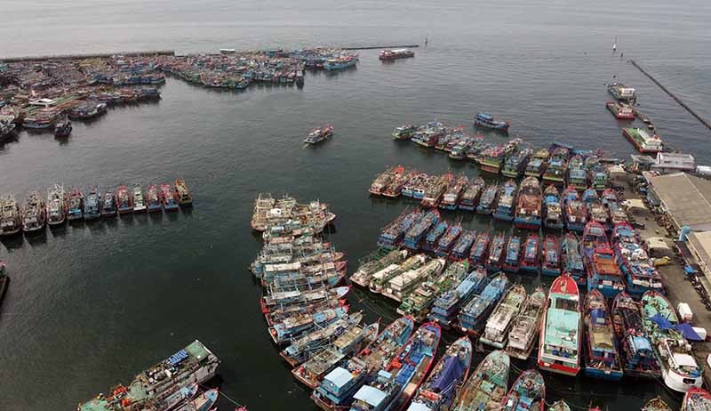 Cuaca Buruk, Ratusan Kapal Ikan Bersandar di Pelabuhan Nizam Zachman - Bagian 1