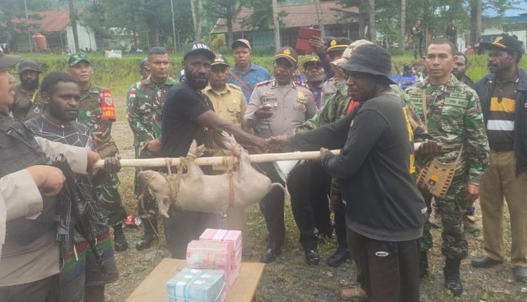 Kasus Penemuan Tengkorak di Tolikara, Suami Dihukum Bayar Denda Rp1 Miliar dan 100 Babi 