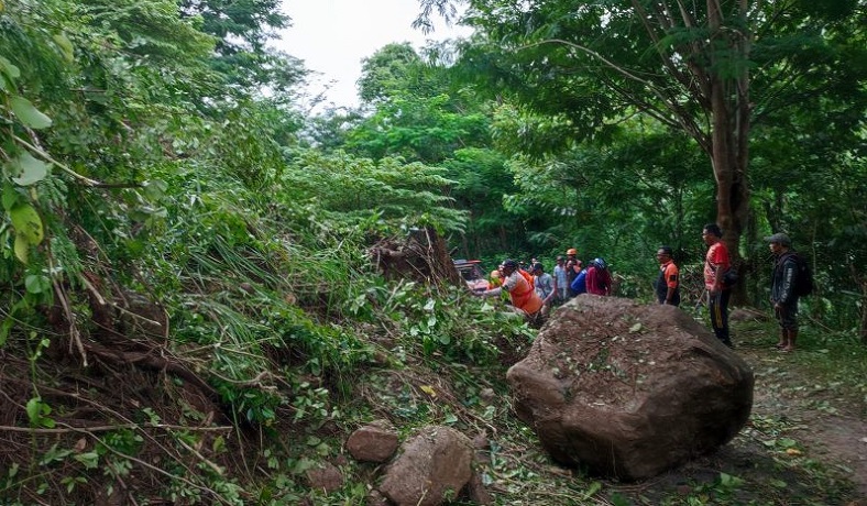 title Longsor, Jalan Penghubung Desa di Jember Tertutup Batu Besar dan Pohon Tumbang Longsor, Jalan Penghubung Desa di Jember Tertutup Batu Besar dan Pohon Tumbang