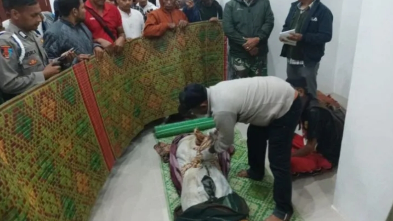 Perempuan di Aceh Tewas Diamuk Gajah hingga Kepalanya Terpisah dari Badan