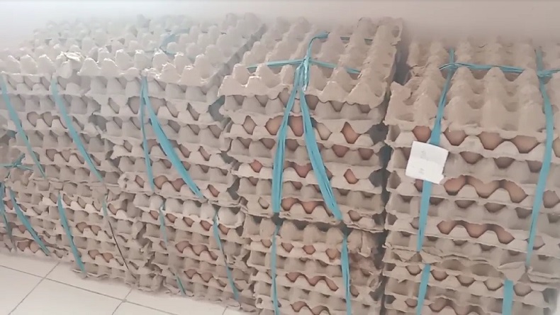 Tak Dilengkapi Dokumen Karantina, Ribuan Telur Ayam di Fakfak Disita