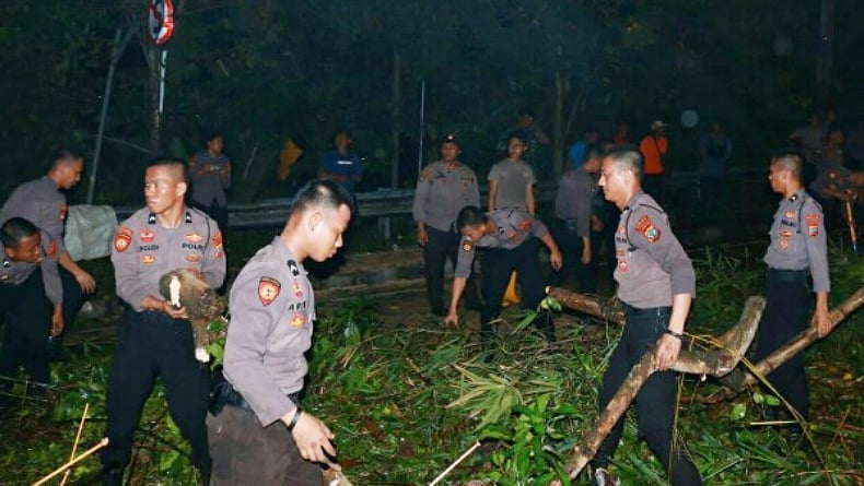 Evakuasi Pohon Tumbang Di Jalan Lumimuut Manado Polda Sulut Kerahkan