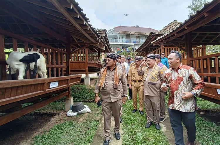 Menteri Pertanian Pastikan Stok Beras Aman untuk Lebaran,  Sejumlah Daerah Panen Raya