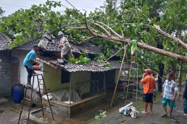 Longsor Dan Pohon Tumbang Masih Ancam Gunungkidul