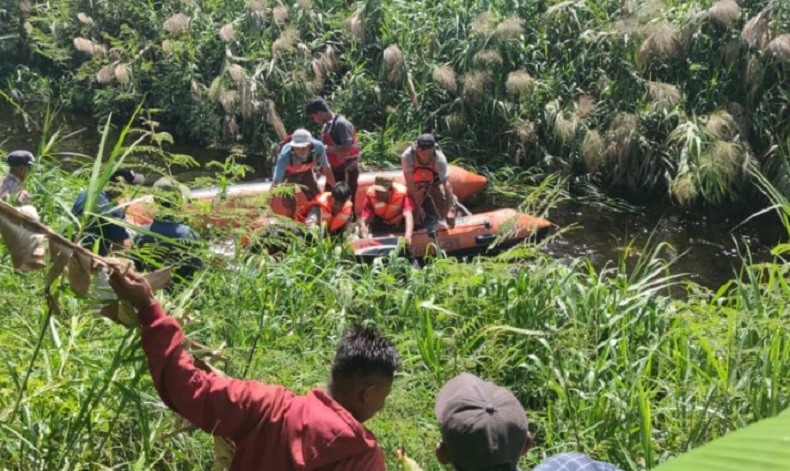 Disambar Buaya saat Cari Rumput, Peternak Sapi di Rohil Ditemukan Tewas