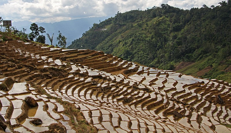 Potensi Wisata Terasering di Kabupaten Enrekang Sulsel - Bagian 2