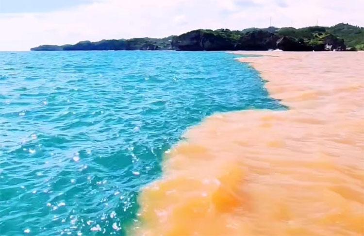 title Heboh, Perairan Pantai Baron Gunungkidul Terbagi 2 Warna Heboh, Perairan Pantai Baron Gunungkidul Terbagi 2 Warna