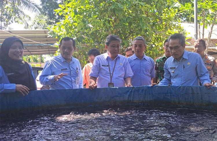 Peluang Budi Daya Lele di Bantul Menggiurkan, 54 Persen Kebutuhan Konsumsi Dipasok Luar Kota