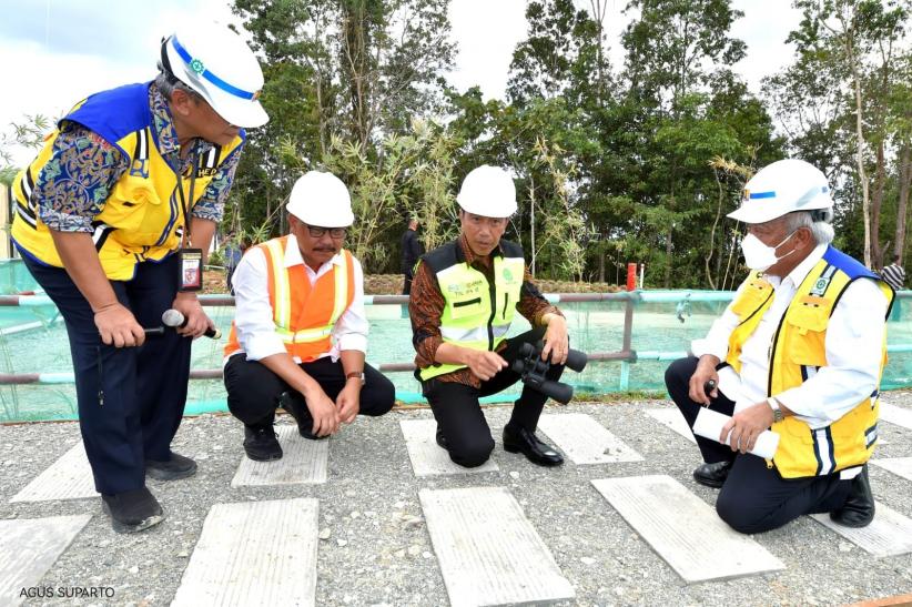 Pakai Teropong, Presiden Jokowi Tinjau Proyek Jalan Tol IKN Nusantara - Bagian 5