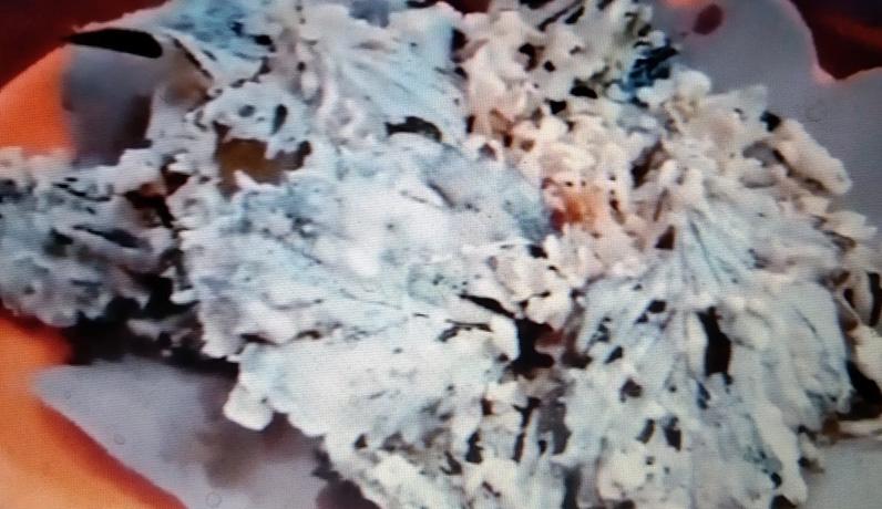 Keripik Daun Stroberi Camilan Khas Lereng Gunung Slamet, Rasanya Gurih dan Renyah 