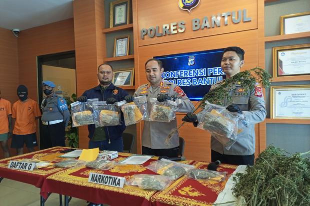Begini Cerita Polres Bantul Temukan Ladang Ganja Seluas 3 Hektare di Gayo Lues Aceh 