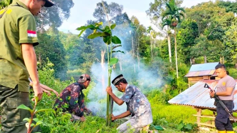 title BKSDA Datangkan Pawang untuk Usir Harimau yang Teror Warga Aceh BKSDA Datangkan Pawang untuk Usir Harimau yang Teror Warga Aceh