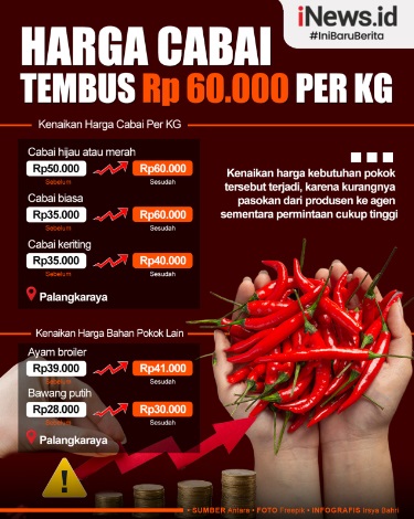 Infografis Harga Cabai di Palangka Raya Tembus Rp60.000 per Kg