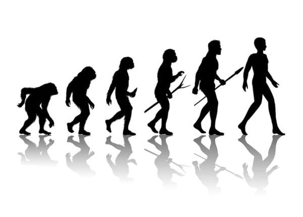 Teori Evolusi Darwin tentang Evolusi Manusia Purba dan Fakta-faktanya