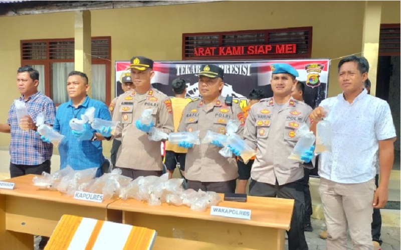 title Polisi Gagalkan Penyelundupan Ribuan Benur Lobster, Akan Dikirim ke Luar Negeri Polisi Gagalkan Penyelundupan Ribuan Benur Lobster, Akan Dikirim ke Luar Negeri