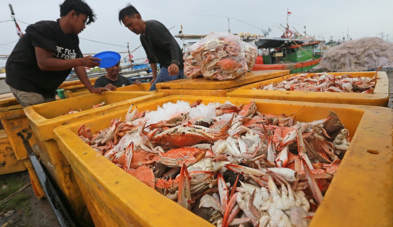 Keran Ekspor Dibuka, Harga Rajungan Naik Menjadi Rp100.000 per Kg - Bagian 1