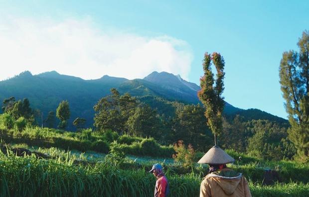 title Dalam Sepekan Gunung Merapi Luncurkan 2 Kali Guguran Lava Pijar Sejauh 1.000 Meter Dalam Sepekan Gunung Merapi Luncurkan 2 Kali Guguran Lava Pijar Sejauh 1.000 Meter