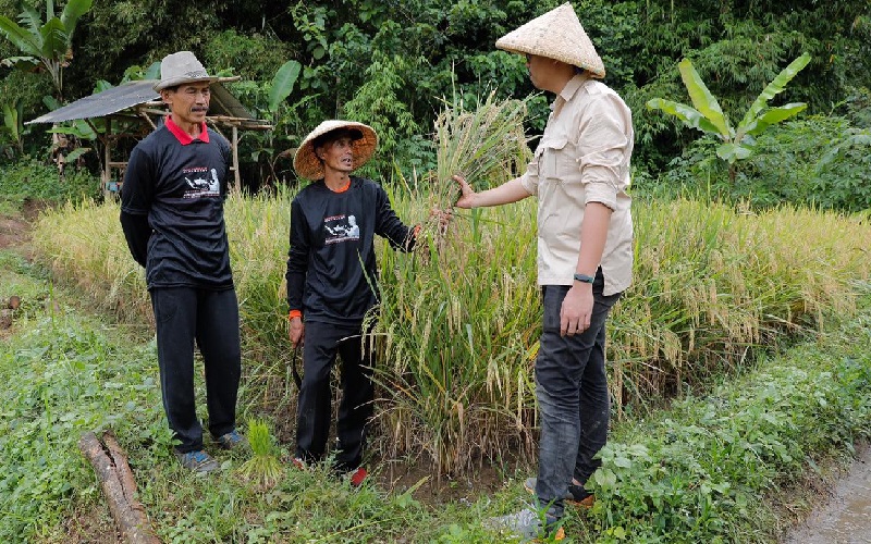 Petani di Malangbong Garut Dapat Pembinaan Olah Lahan Gambut agar Lebih Produktif