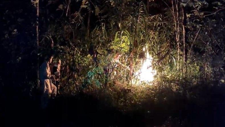 Warga Tewas Disengat Lebah, Damkar Boyolali Gelar Operasi Tangkap Tawon Warga Tewas Disengat Lebah, Damkar Boyolali Gelar Operasi Tangkap Tawon