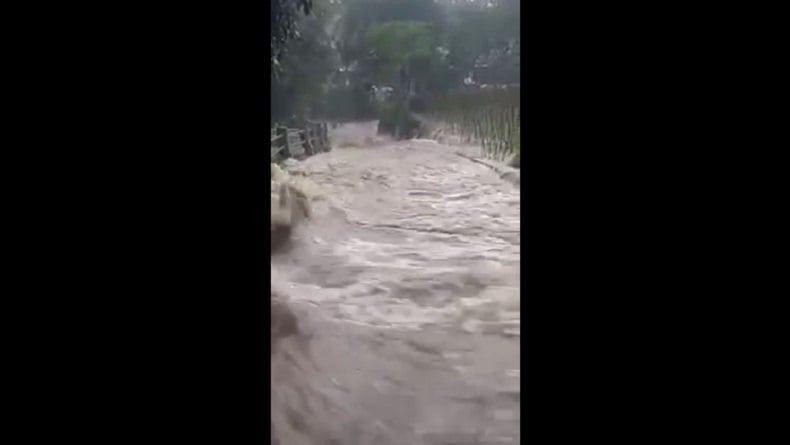 Banjir Bandang hingga Tanah Longsor Terjang Bondowoso, 2 Orang Luka Tertimpa Pohon