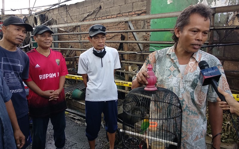 Korban Kebakaran Depo Plumpang Pusing Burungnya Dicuri, Minta Polisi Bertindak