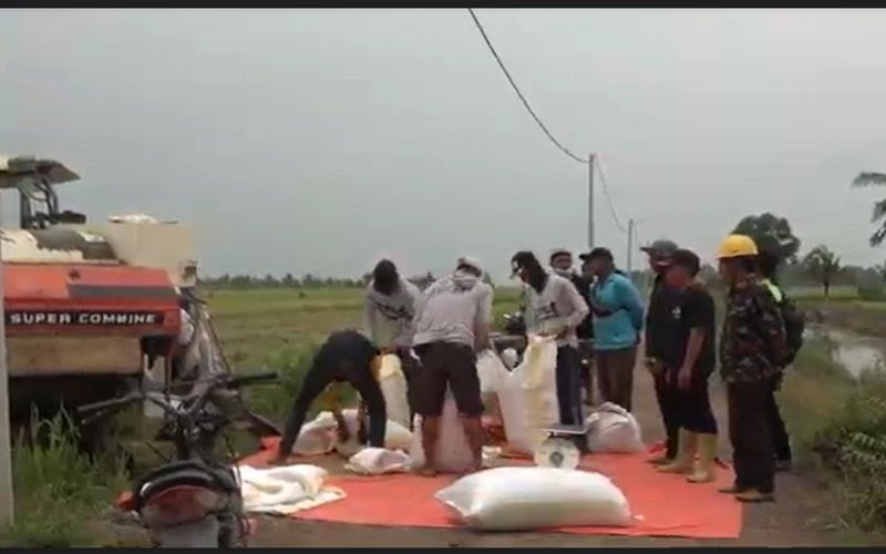 title Daerah Penghasil Padi Terbesar di Sumsel, Juaranya Penyangga Palembang Daerah Penghasil Padi Terbesar di Sumsel, Juaranya Penyangga Palembang