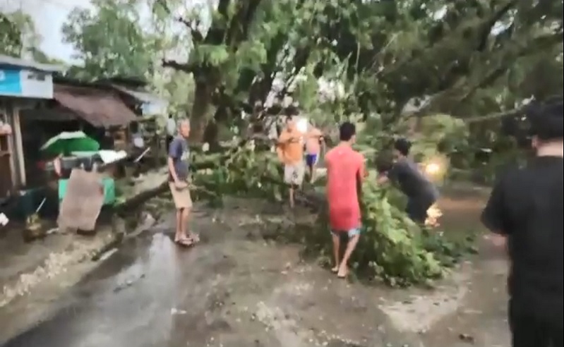 Badai Angin di Sultra, 3 Warga Tewas Tertimpa Pohon dan Tersambar Petir