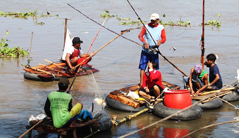 Ikan Mabuk di Sungai Brantas Jadi Rebutan Warga - Bagian 3