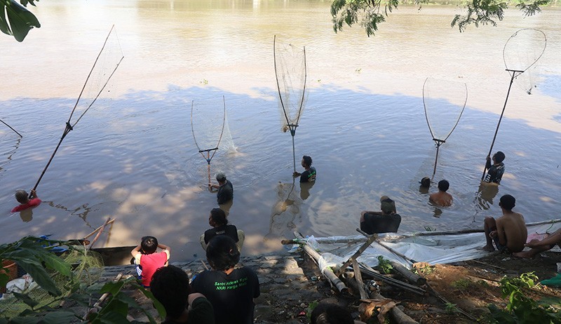 Ikan Mabuk di Sungai Brantas Jadi Rebutan Warga - Bagian 1