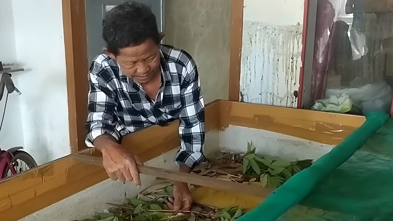  Lansia di Indramayu Ini Tetap Produktif, Hasilkan Jutaan Rupiah dari Usaha Jangkrik