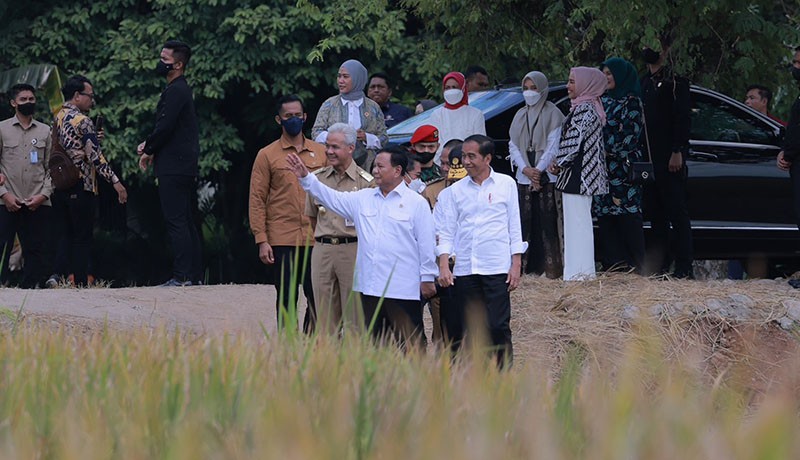Momen Jokowi, Prabowo dan Ganjar Pranowo Tinjau Panen Raya di Kebumen - Bagian 2
