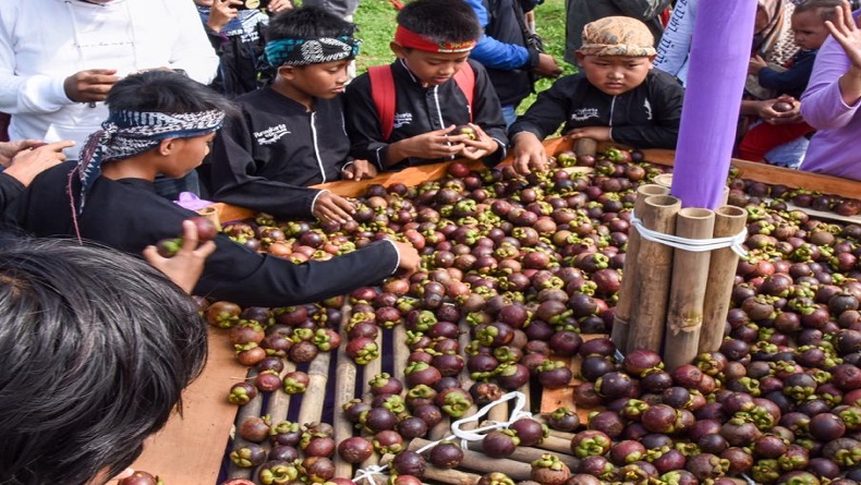 Keren, Manggis Wanayasa Purwakarta Ikut Andil Kuasai Pasar Internasional