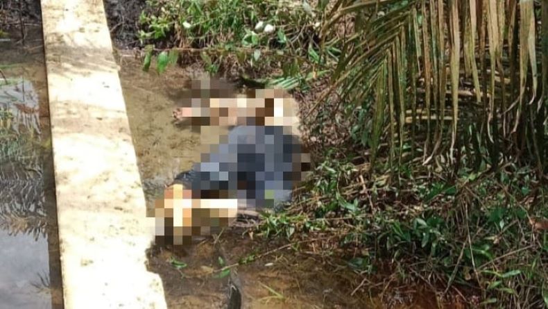 Bangka Barat Geger, Warga Temukan Mayat Tanpa Identitas di Perkebunan Sawit 