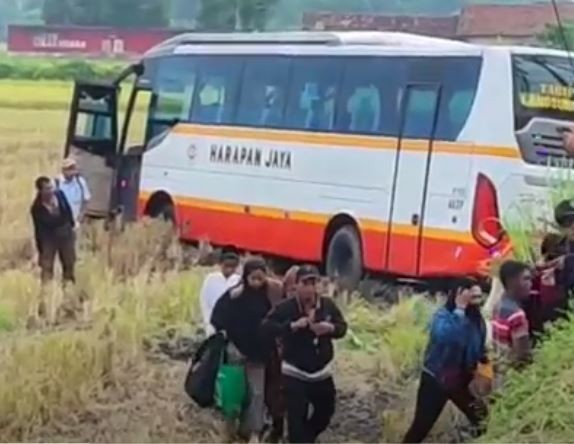 Kecelakaan Hari Ini Di Kediri, Bus Harapan Jaya Terjun Ke Sawah Usai ...