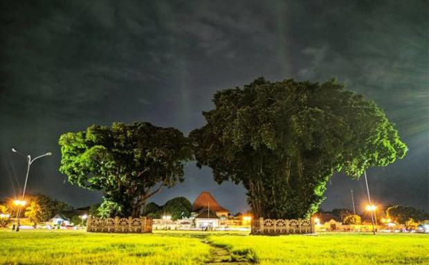  Sejarah Alun-Alun Kidul Jogja, Dulu Jadi Tempat Latihan Prajurit Keraton