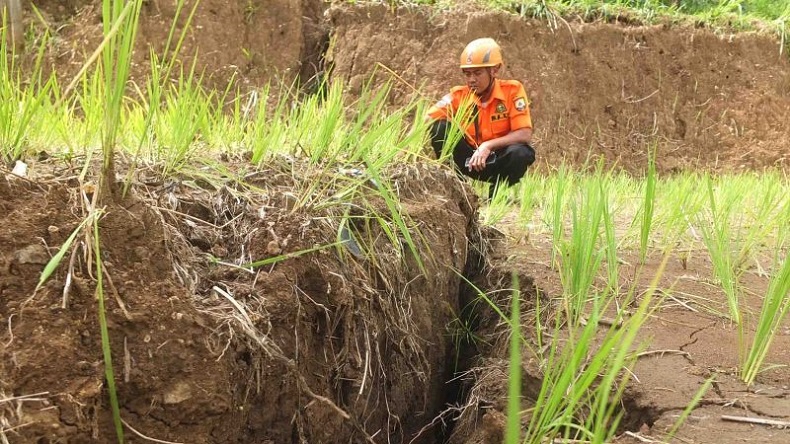 title Tanah Retak di Desa Sucopangepok Jember Bisa Picu Longsor, 500 Jiwa Terancam Mengungsi Tanah Retak di Desa Sucopangepok Jember Bisa Picu Longsor, 500 Jiwa Terancam Mengungsi