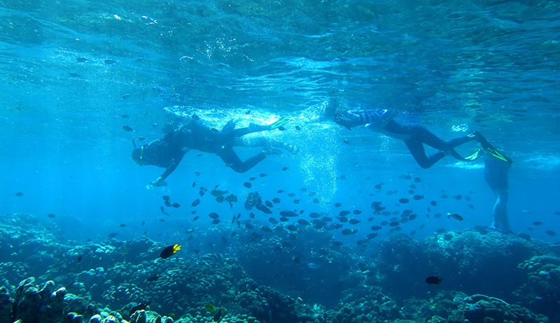 Melihat Keindahan Taman Laut Olele Gorontalo - Bagian 2