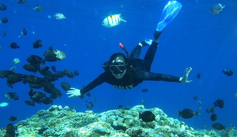 Melihat Keindahan Taman Laut Olele Gorontalo - Bagian 1