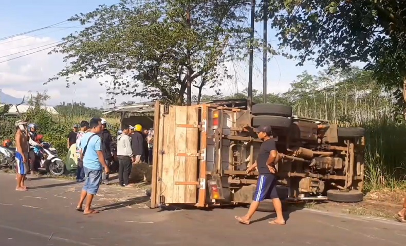 Kecelakaan di Lumajang, Truk Angkut 20 Orang Terguling, 3 Luka Berat 