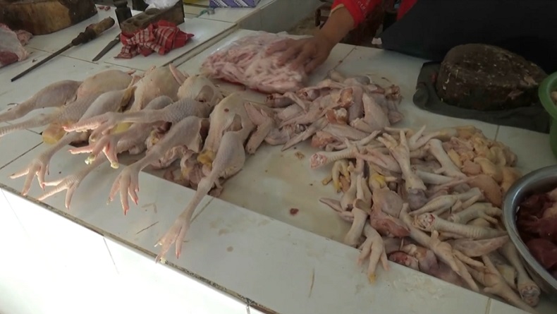 Jelang Puasa, Harga Daging Ayam di Tuban Naik hingga Rp10.000 per Kg