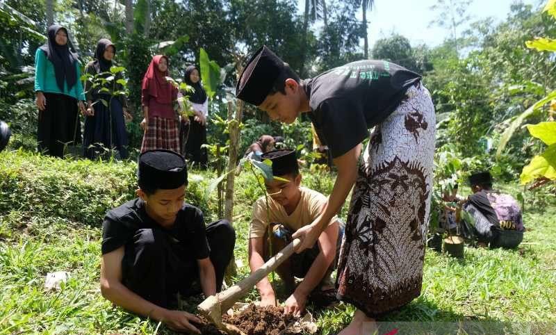  Sedekah Bumi, Ponpes di Temanggung Ini Wajibkan Santri Khatam Alquran Tanam Pohon