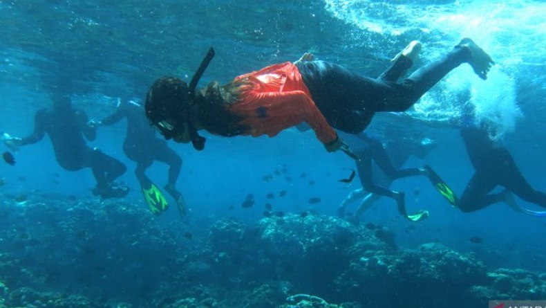 Pesona Bawah Laut Olele Pukau Wisatawan Mancanegara